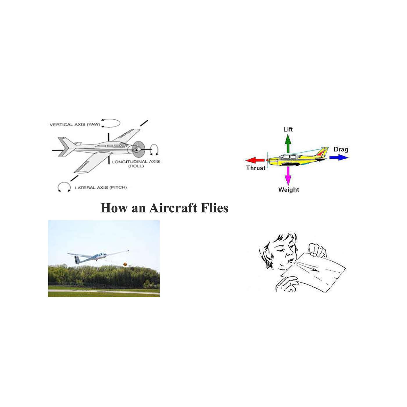 How an Aircraft Flies