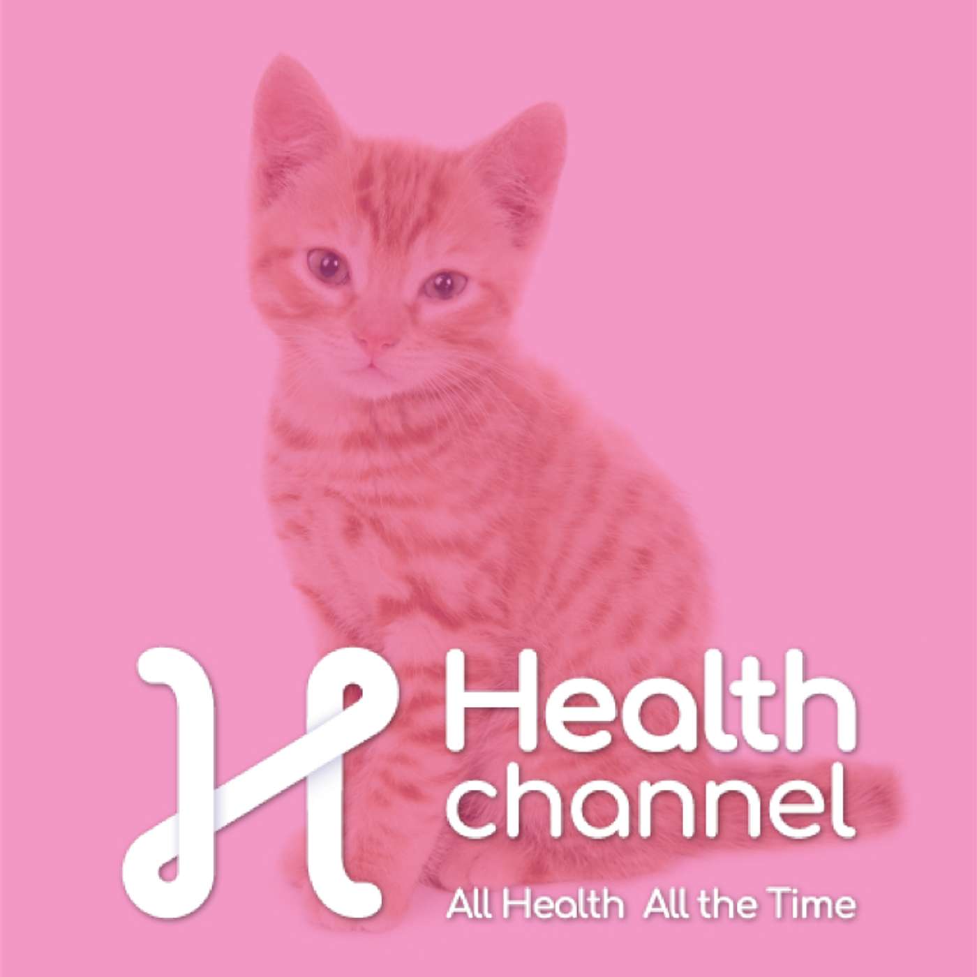 Summer Pet Safety: Dehydration, Travel Tips & Human Food Hazards | Ask The Doc episode artwork
