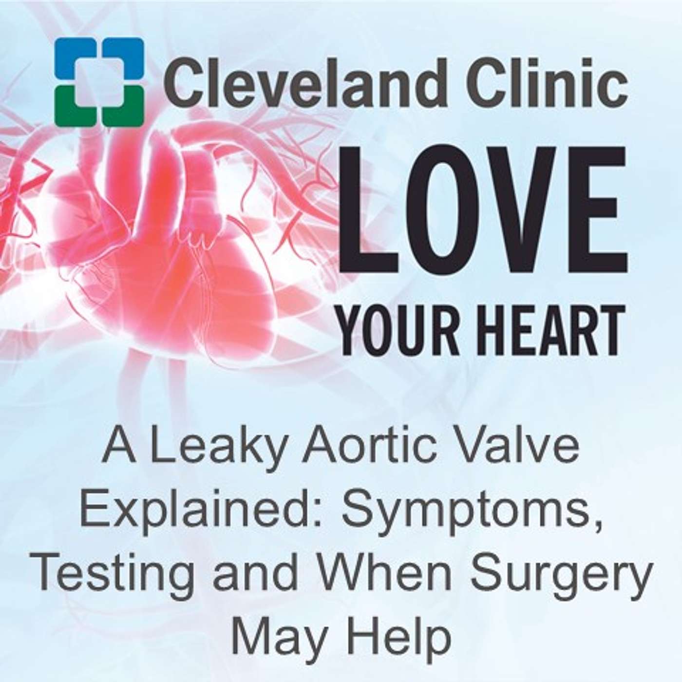 A Leaky Aortic Valve Explained: Symptoms, Testing and When Surgery May Help