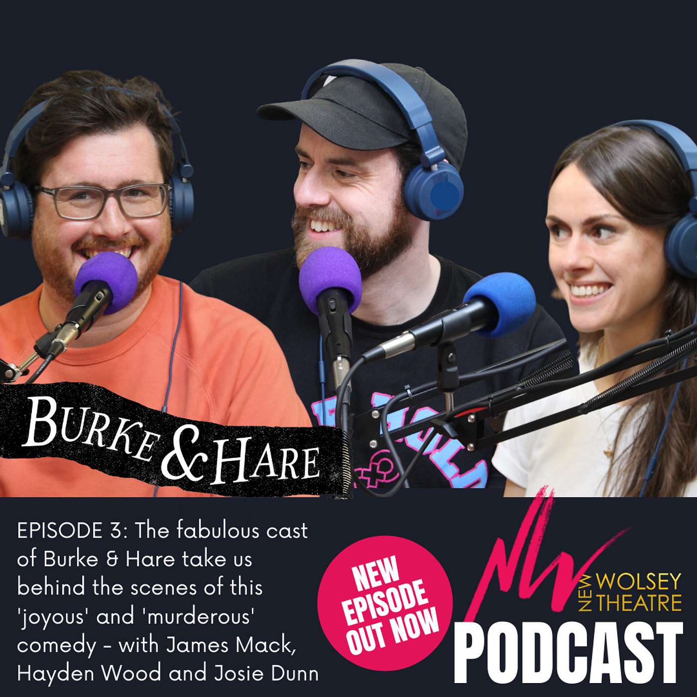 New Wolsey Theatre Podcast