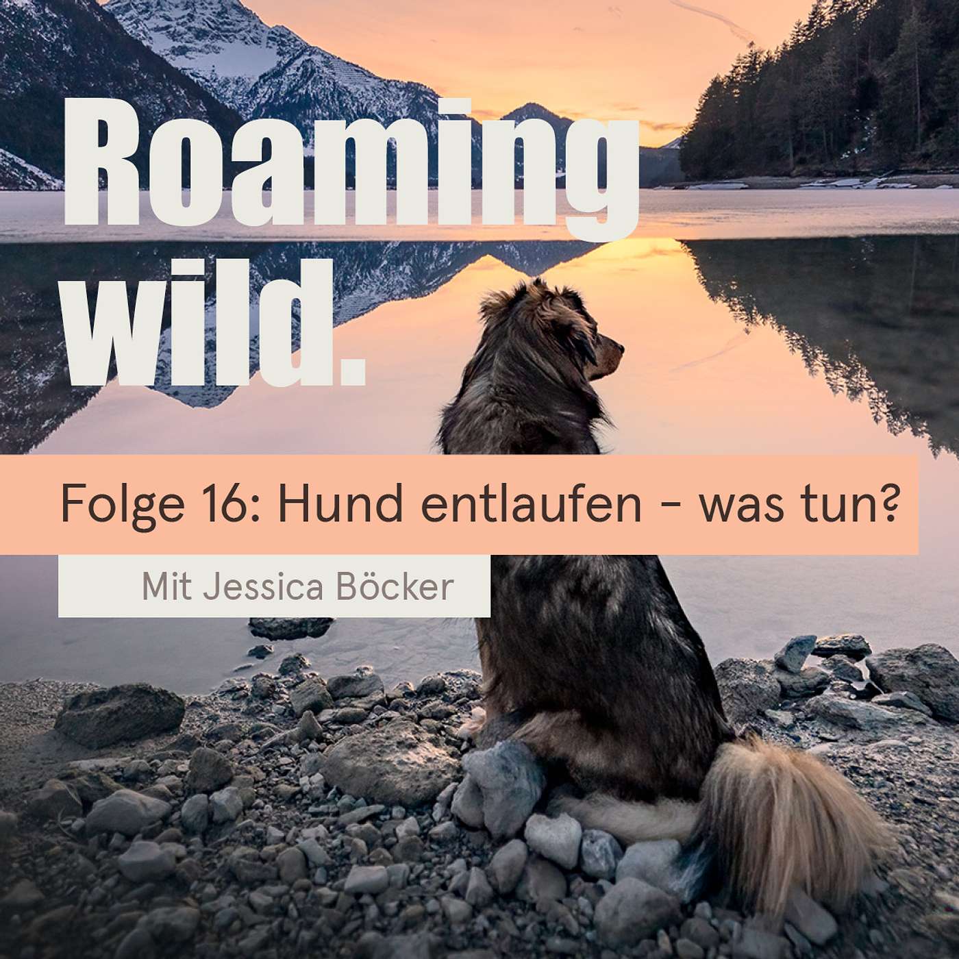 Roaming Wild - Outdoorerlebnisse und Fotografie mit Hund