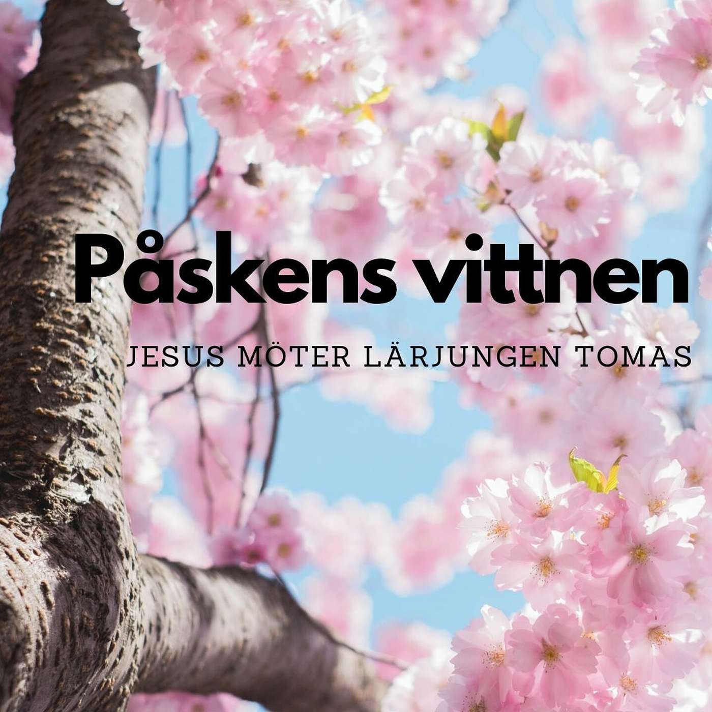 Missionskyrkan Vännäs