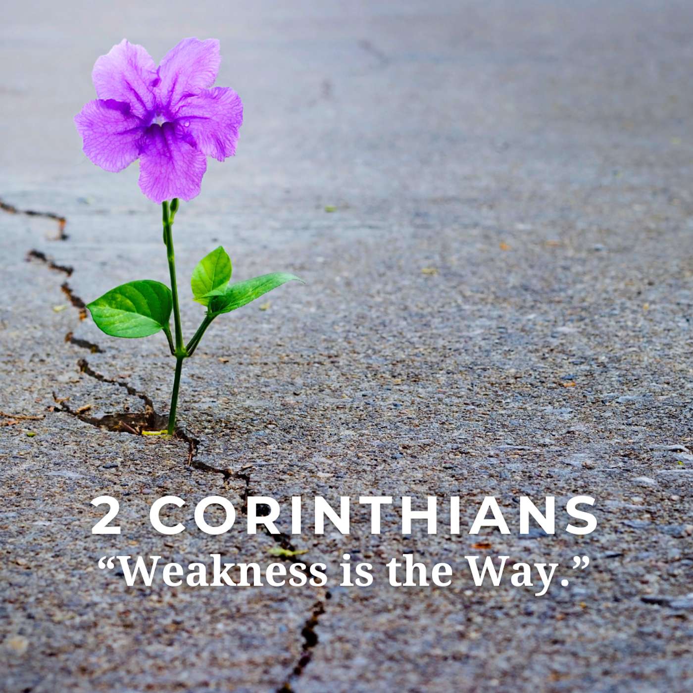 January 11, 2026 | Unity, Peace, and Blessing