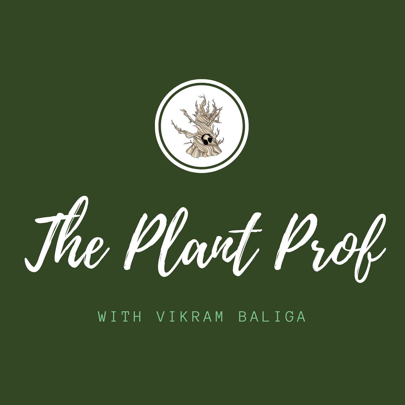 Planthropology