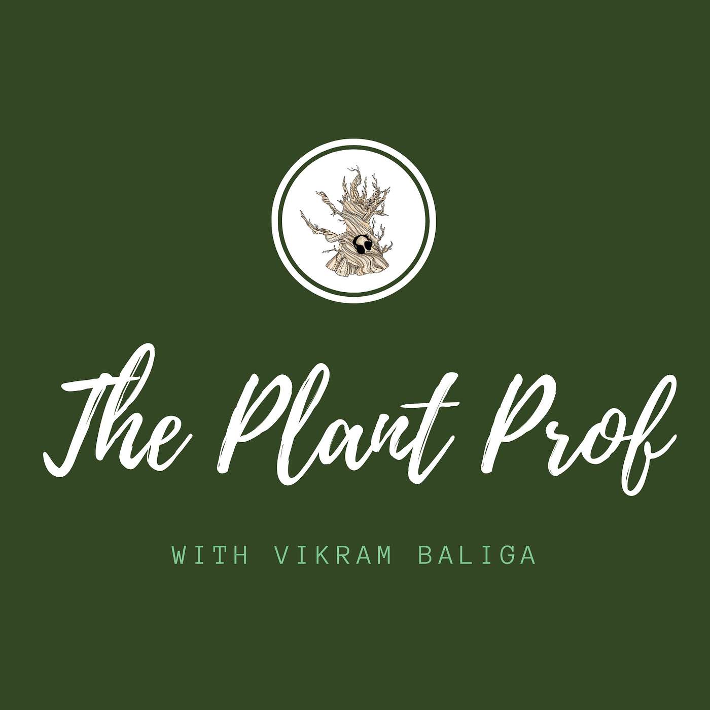 The Plant Prof