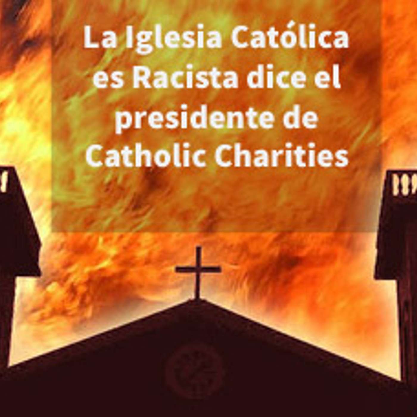 Episodio 290: 😱 La Iglesia Católica es racista 🤔 dice el presidente y CEO de Catholic Charities