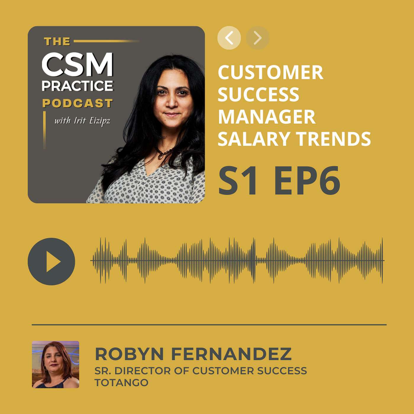 CSM Practice - The Customer Success Podcast