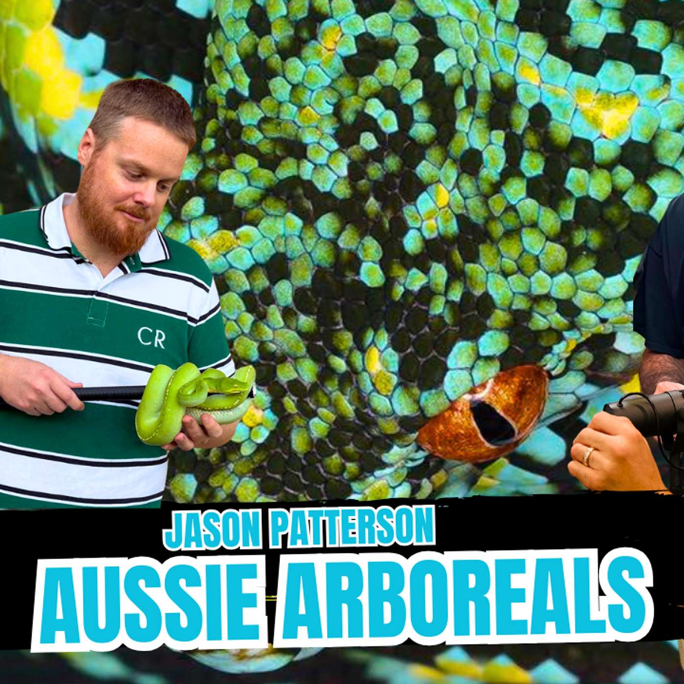 The Aussie Chondro Breeder Series Continues... | All In The Tree Tuesday Live