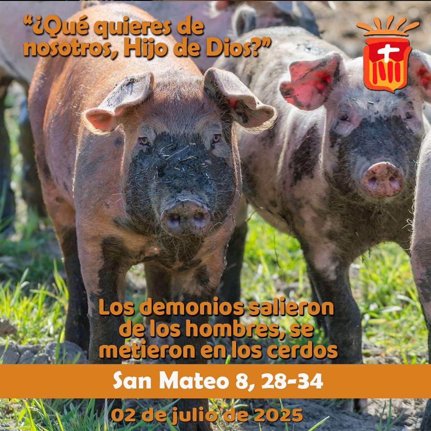 2025-07-02 San Mateo 8, 28-34: Miércoles XIII Ordinario