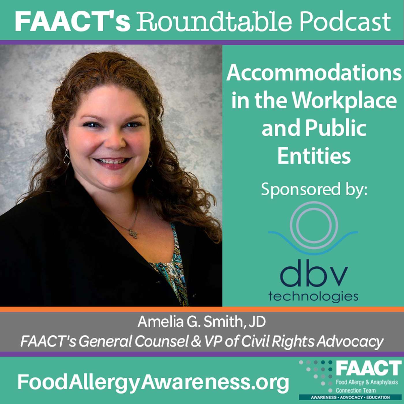 Ep. 250: Accommodations in the Workplace and Public Entities