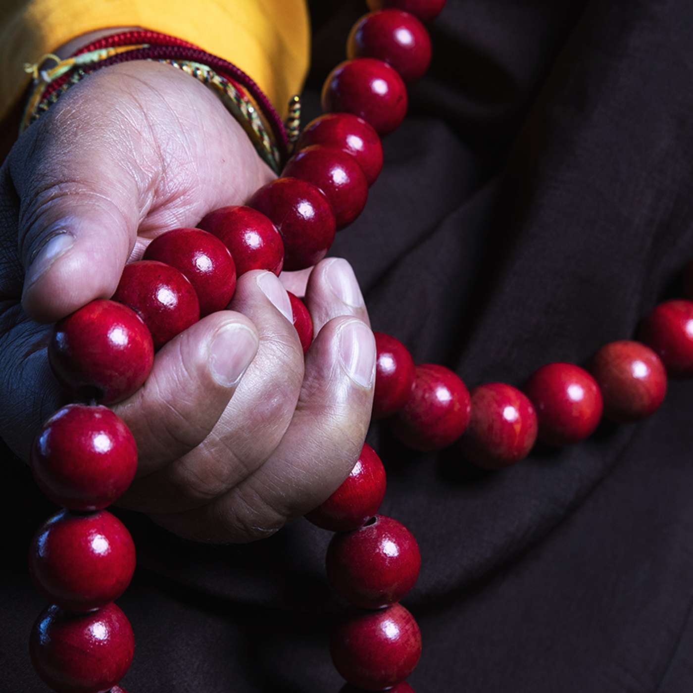 BONUS! Guided Meditation with The Rogue Zen Master, Jacques-Pierre Cole! 021