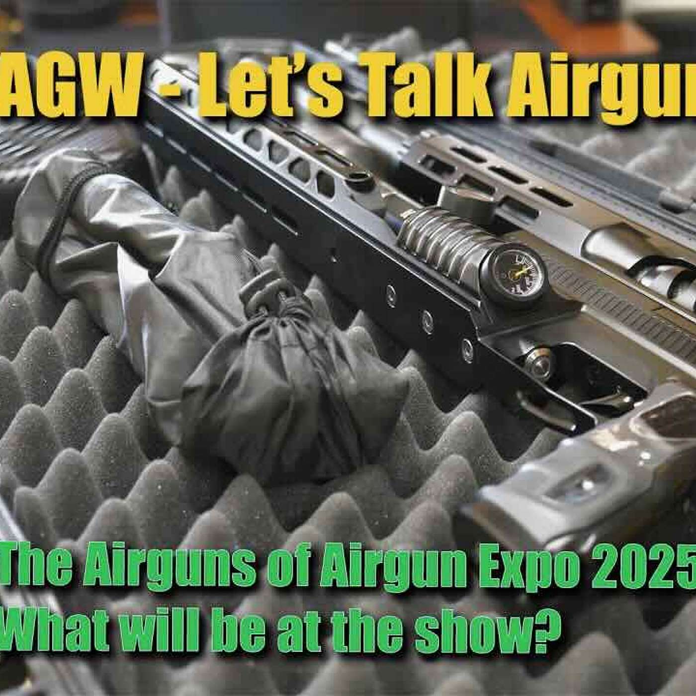 Let's Talk Airguns - The Airguns of Airgun Expo 2025!  What airguns will be at the show?