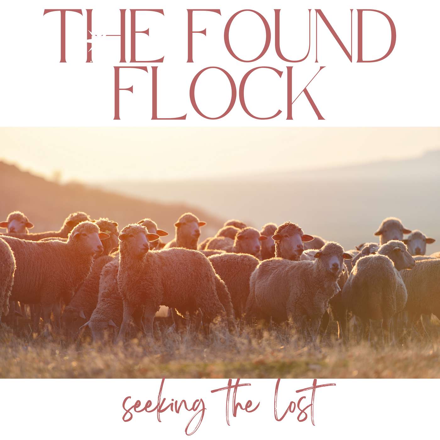 The Found Flock