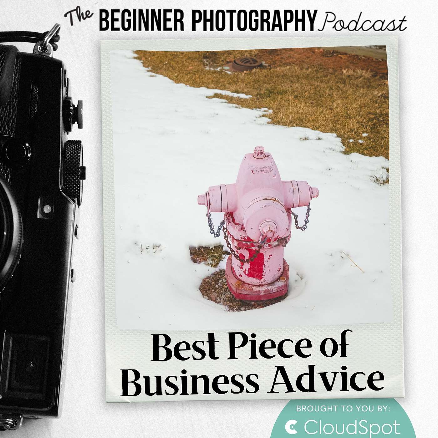 431: 15 Pros Share: Best Business Advice