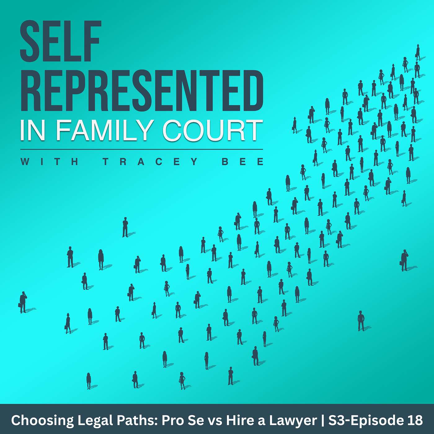 Pro Se vs Lawyer in Family Court: Which Is Better for Your Case? | Season 3 Episode 18 episode artwork