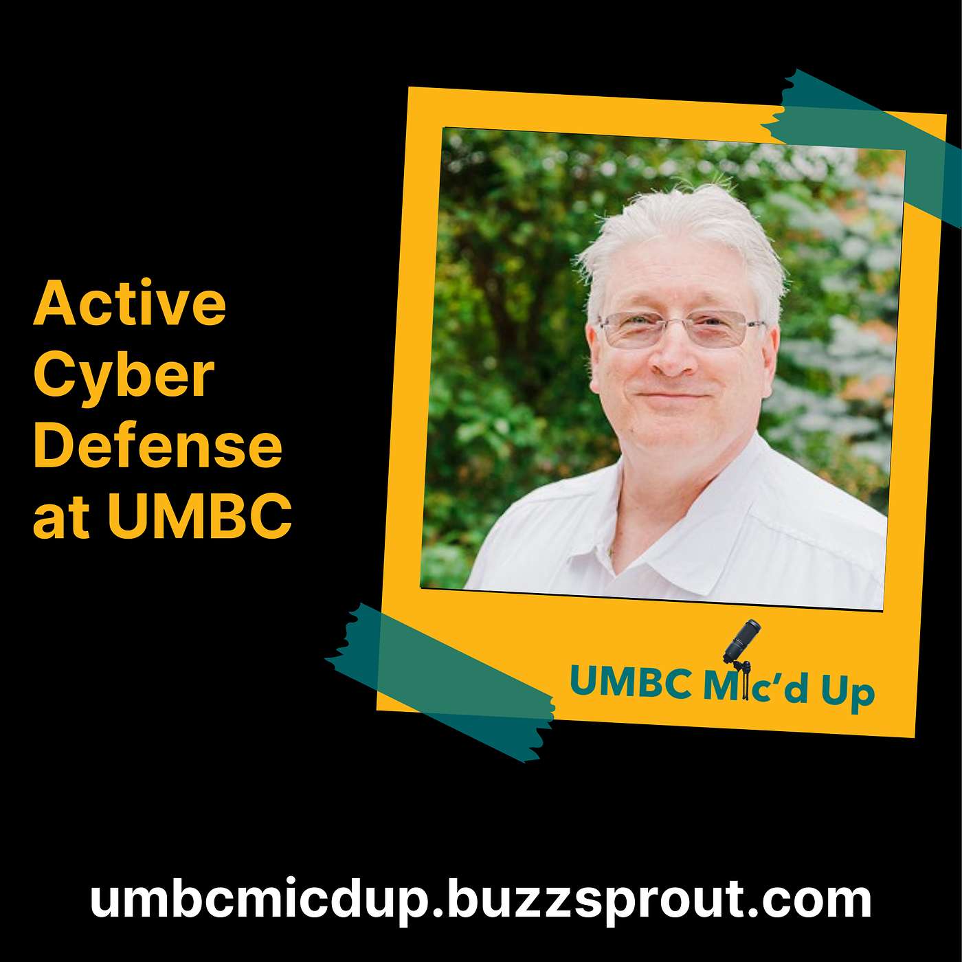 Defending the Digital World - An Active Approach