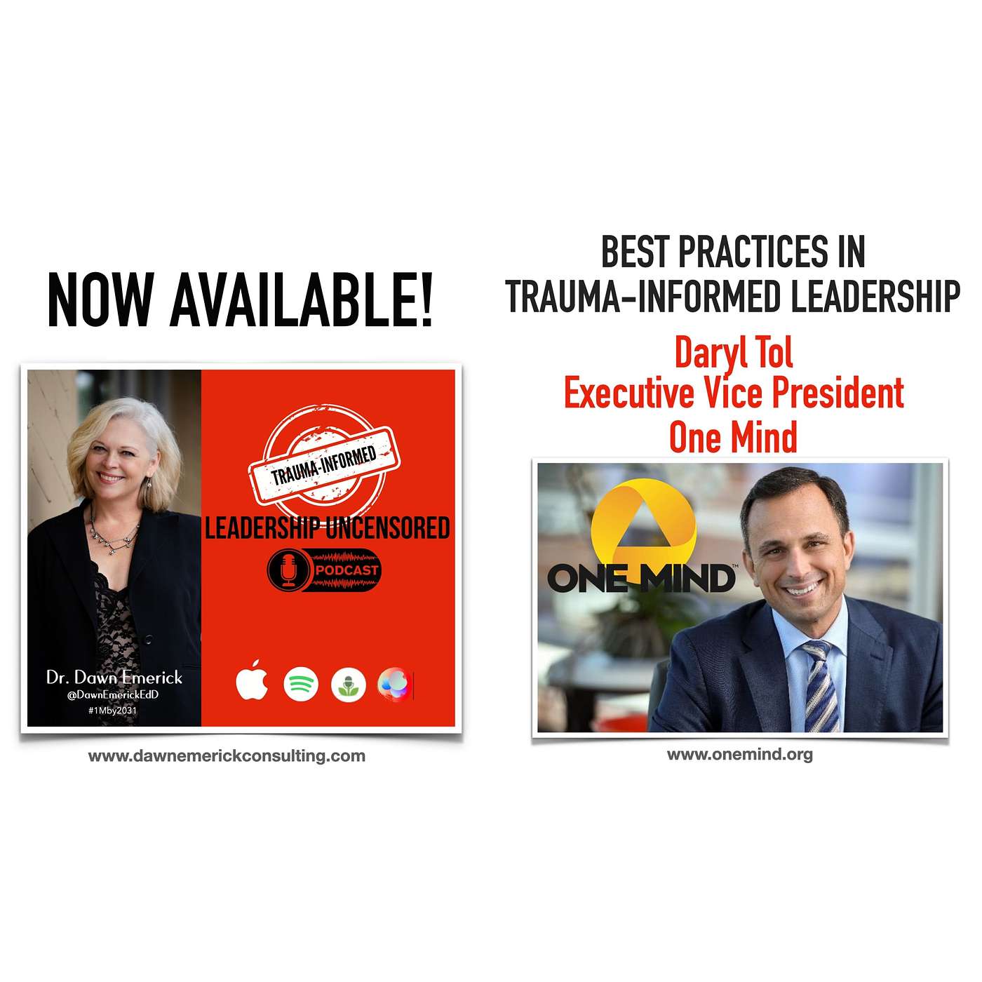 Season 3, Episode 16. Best Practices in Trauma-Informed Leadership: Daryl Tol, EVP with One Mind