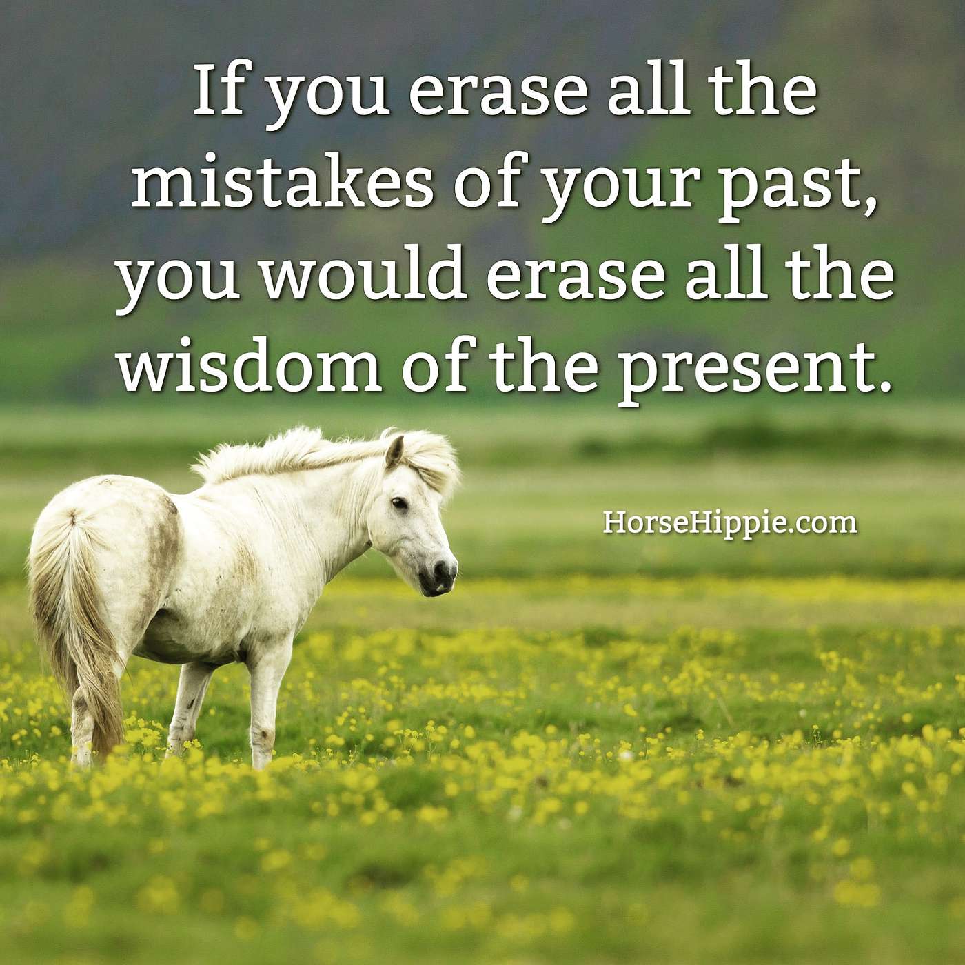 Past Mistakes Are Current Wisdom episode artwork