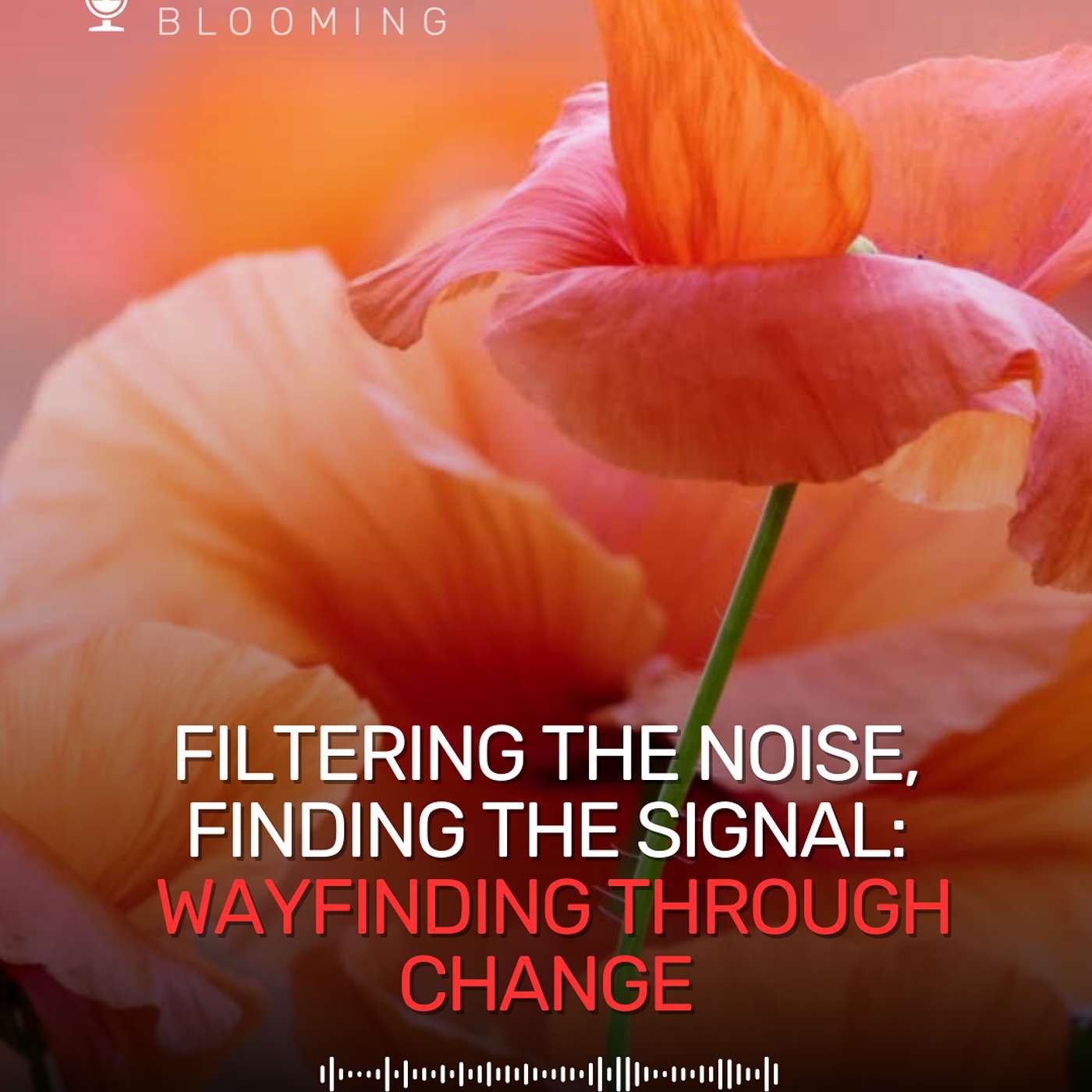Filtering the Noise, Finding the Signal: Wayfinding Through Change