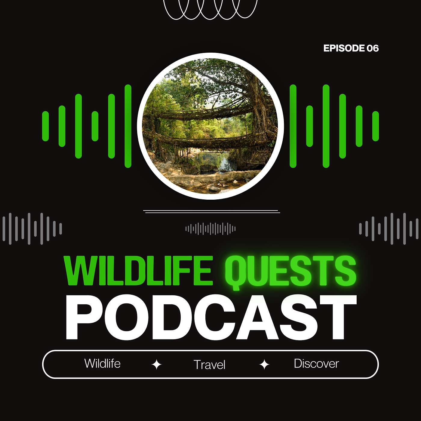 Wildlife Quests