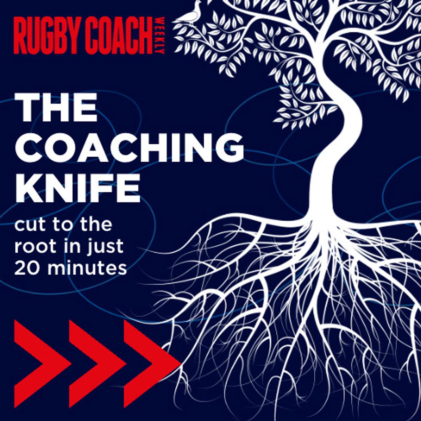 The Coaching Knife: Why we need to break the brooms of sweeping the sheds, with Craig Gunn The Coaching Knife: Why we need to break the brooms of sweeping the sheds, with Craig Gunn