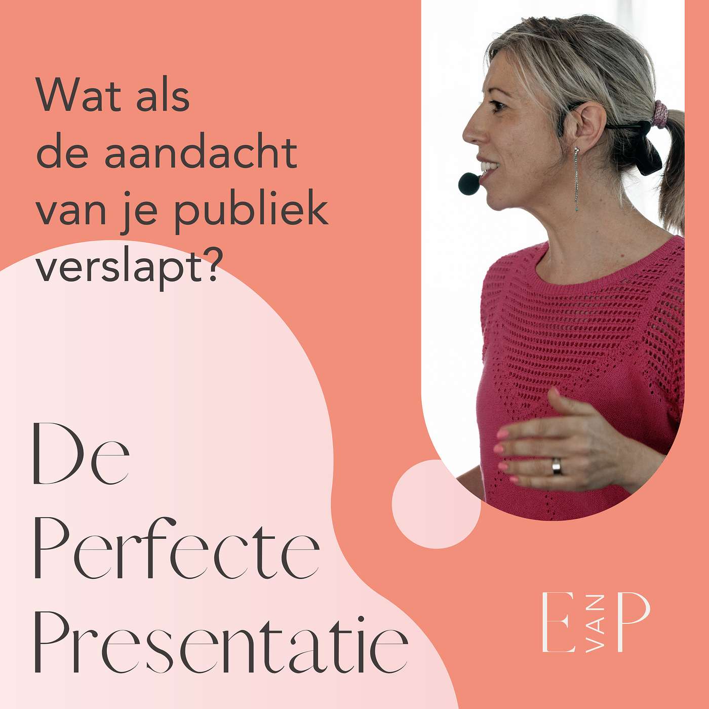 De perfecte presentatie