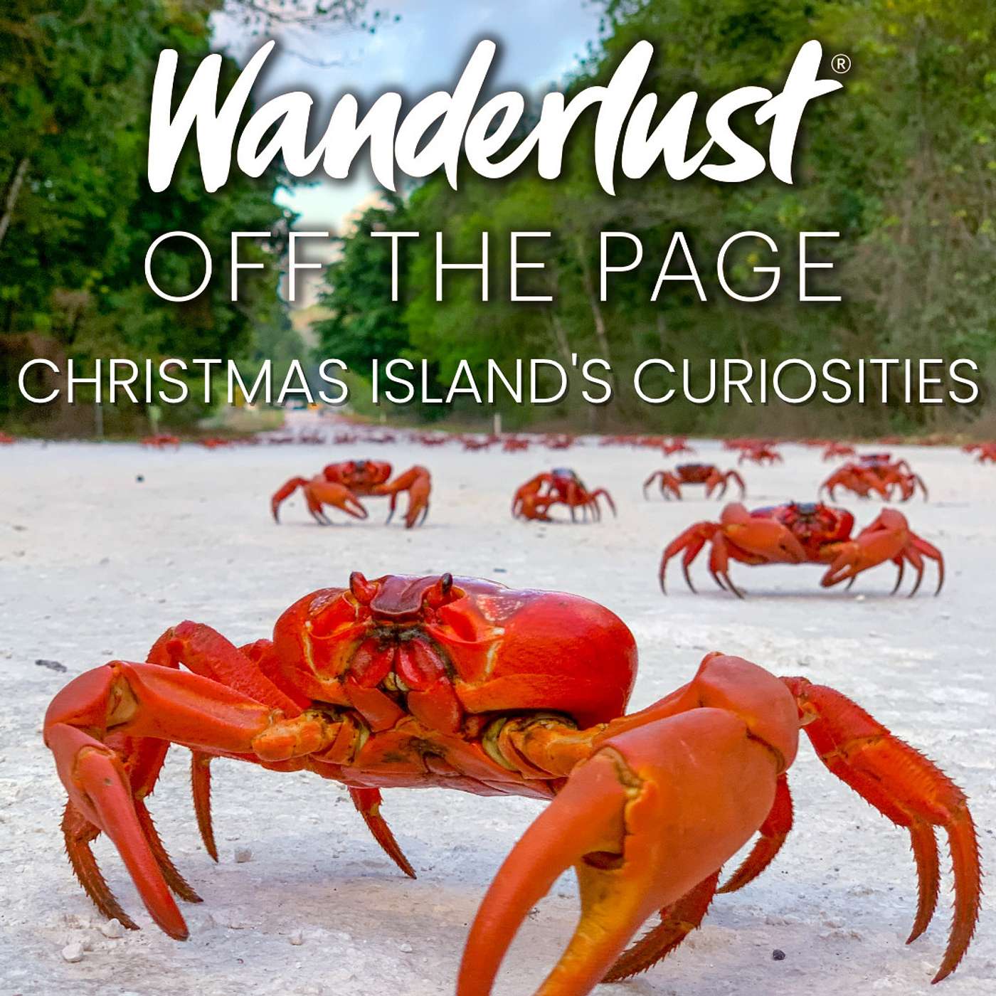 The Wonderful Curiosities of Christmas Island with Martin Symington