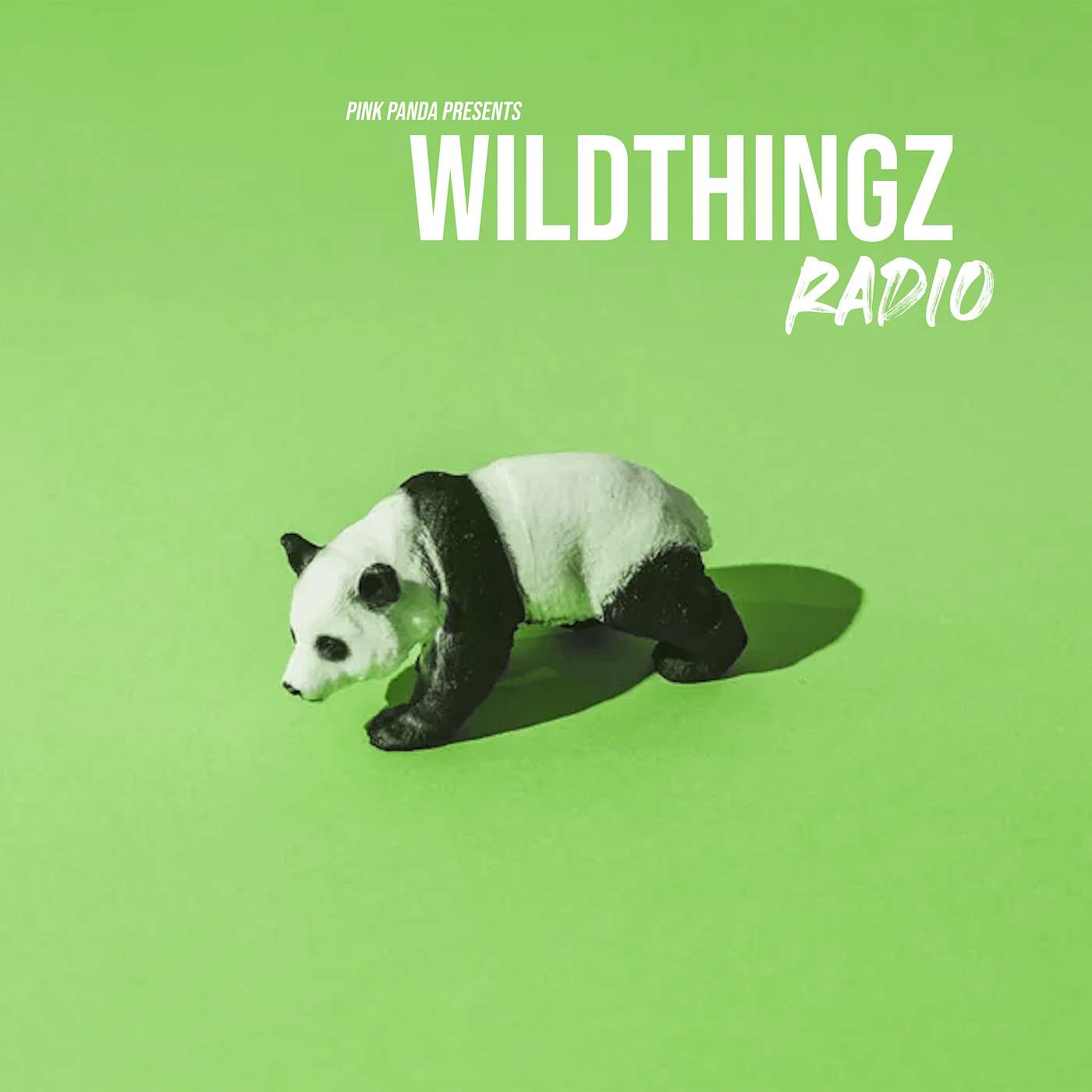 Pink Panda Presents - Wild Thingz Radio - Ep 19 episode artwork