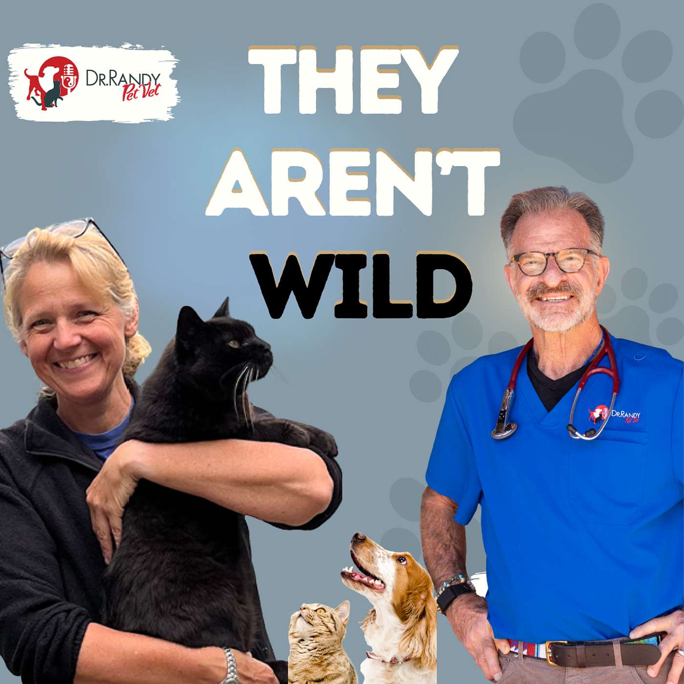 The Truth About Feral Cats: Why TNR Is the Only Solution