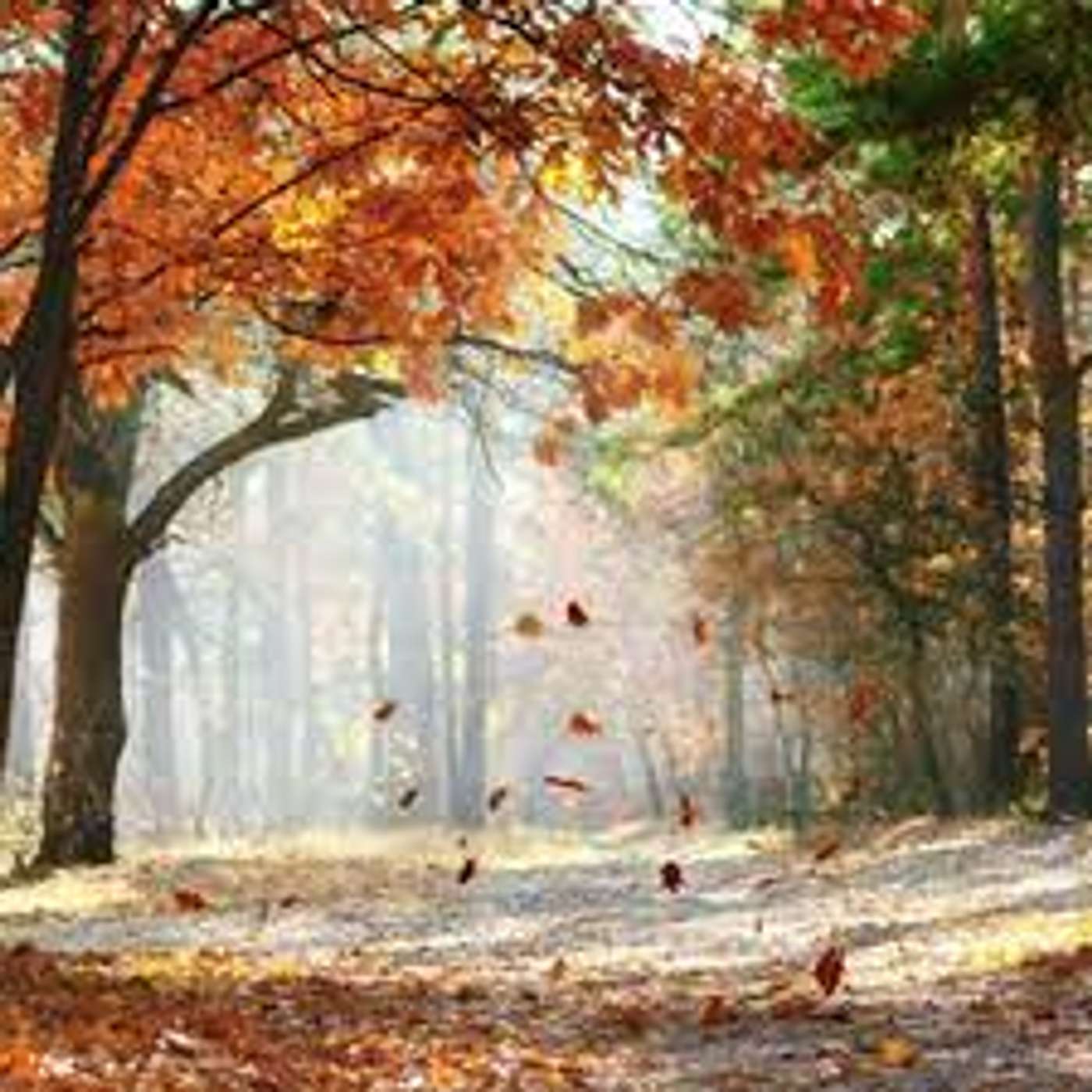 Episode 54: Memories Like Autumn Leaves