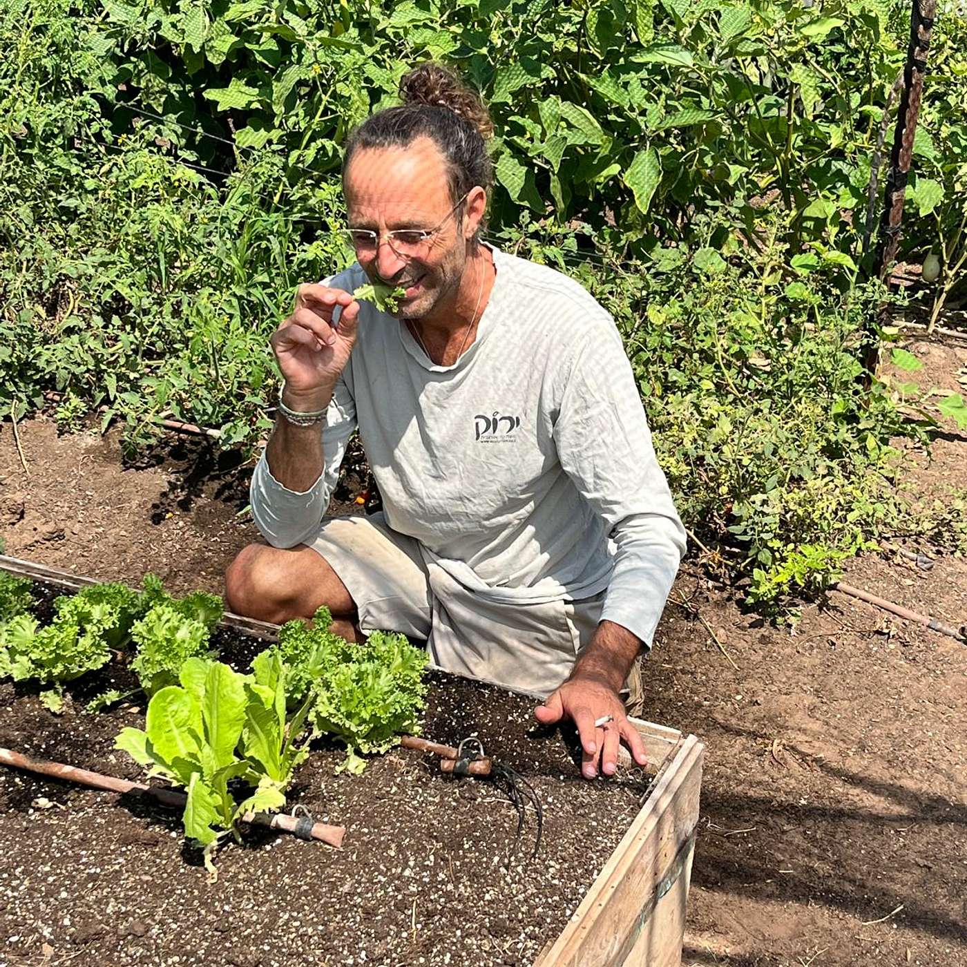 ירקות החורף עם מתן הגנן