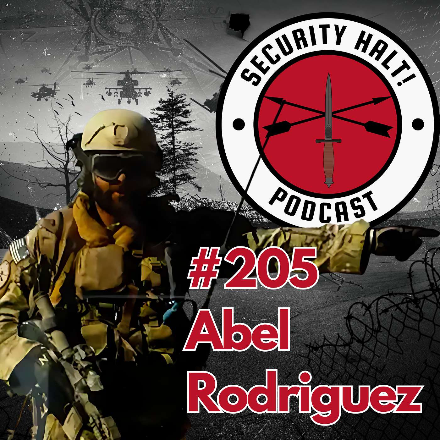 Security Halt! - #205 Abel Rodriguez : Saving Lives with Healing the Hero and Tactical Resiliency USA