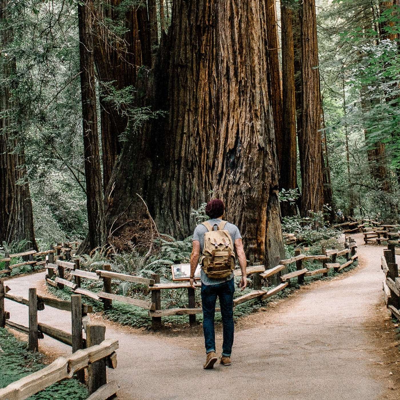 Microsoft Dynamics and Salesforce: What You Need To Know Before Choosing a Platform