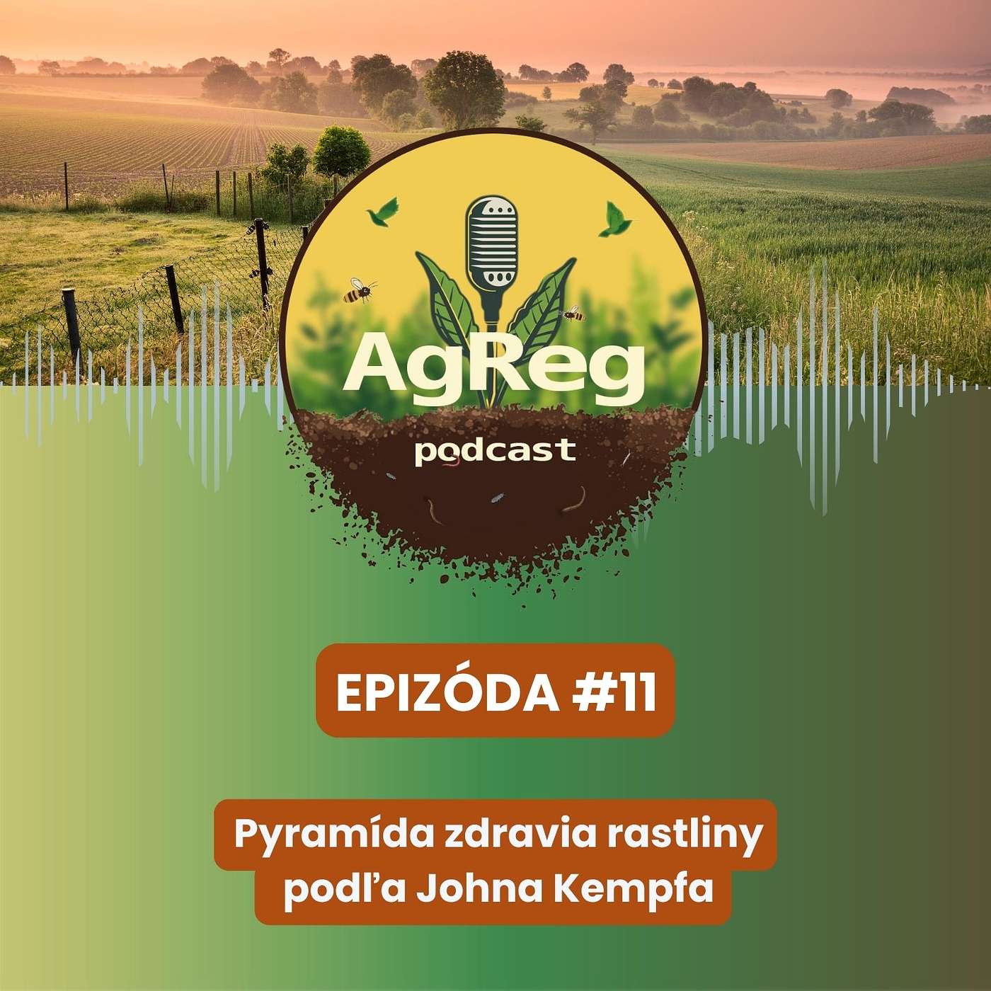 11. Pyramída zdravia rastliny podľa Johna Kempfa