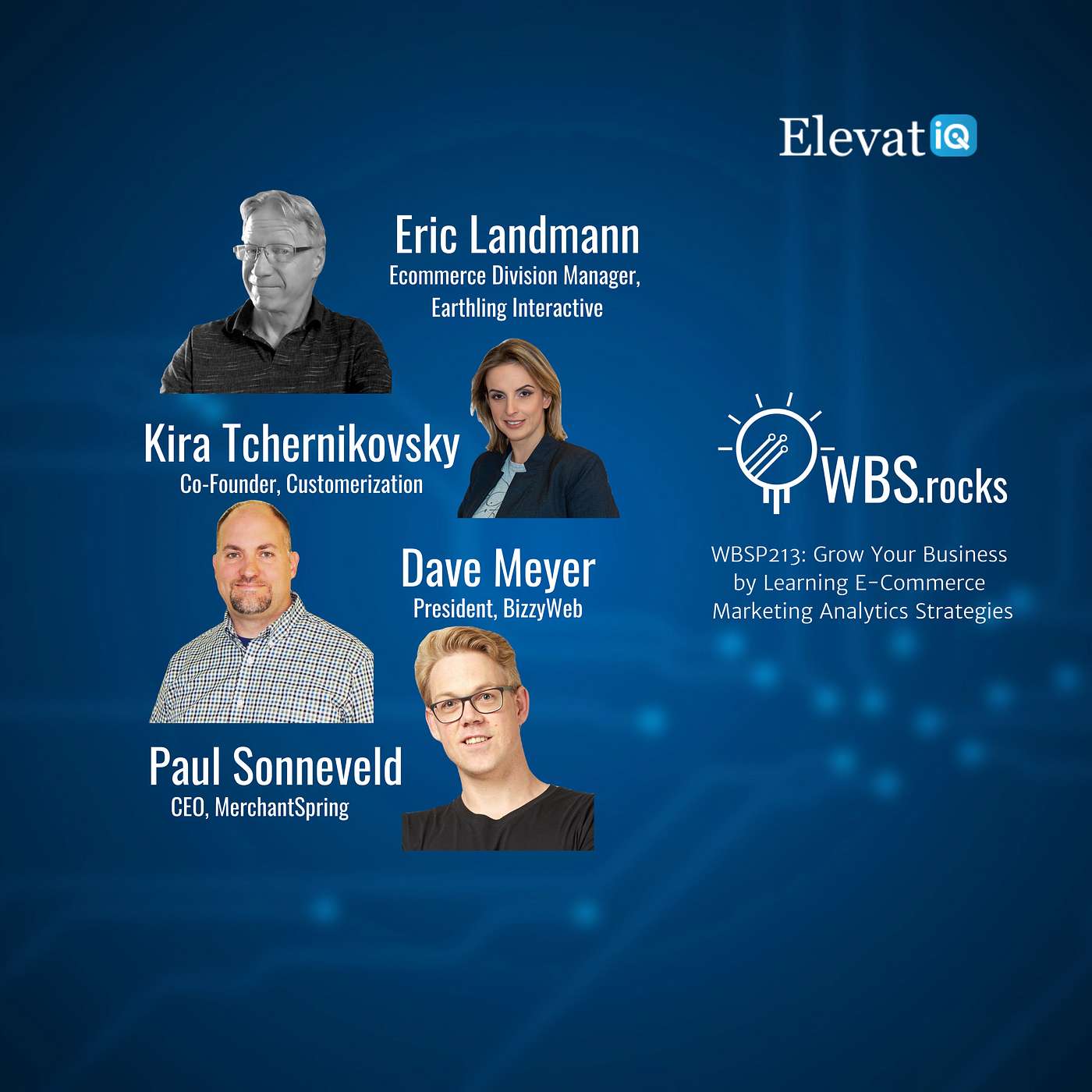 WBSP213: Grow Your Business by Learning E-Commerce Marketing Analytics Strategies, a Live Interview w/ a Panel of Experts