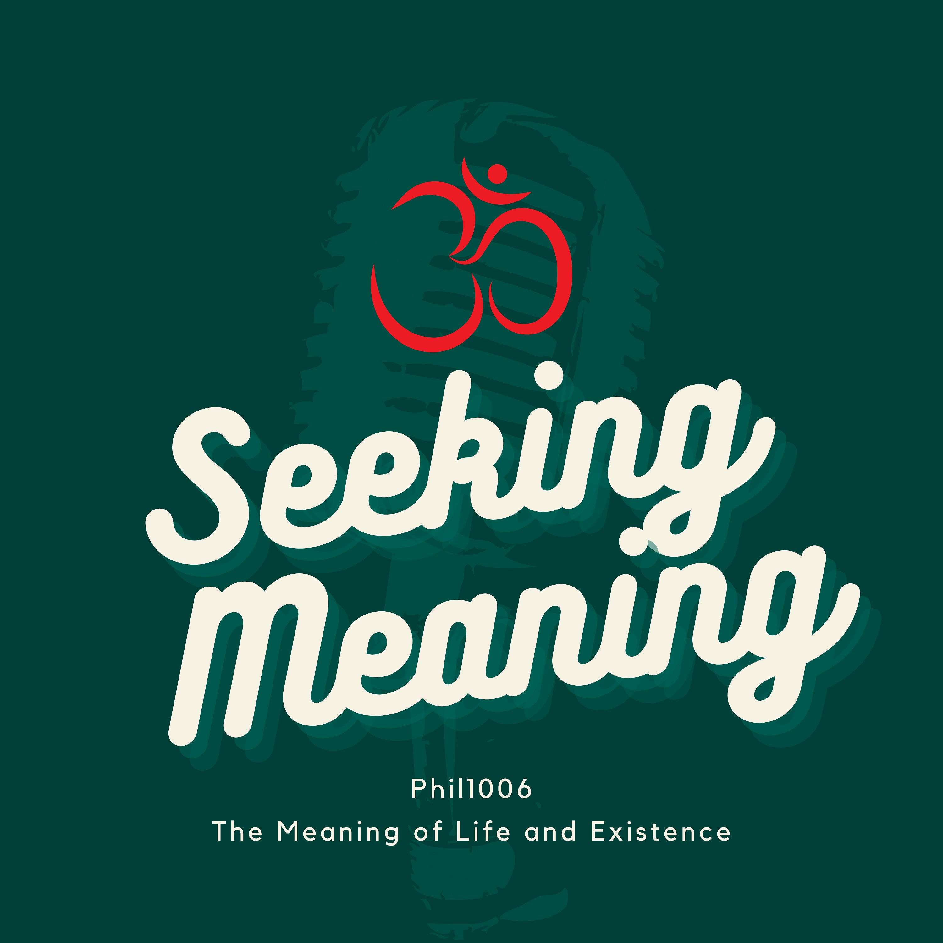 Seeking Meaning
