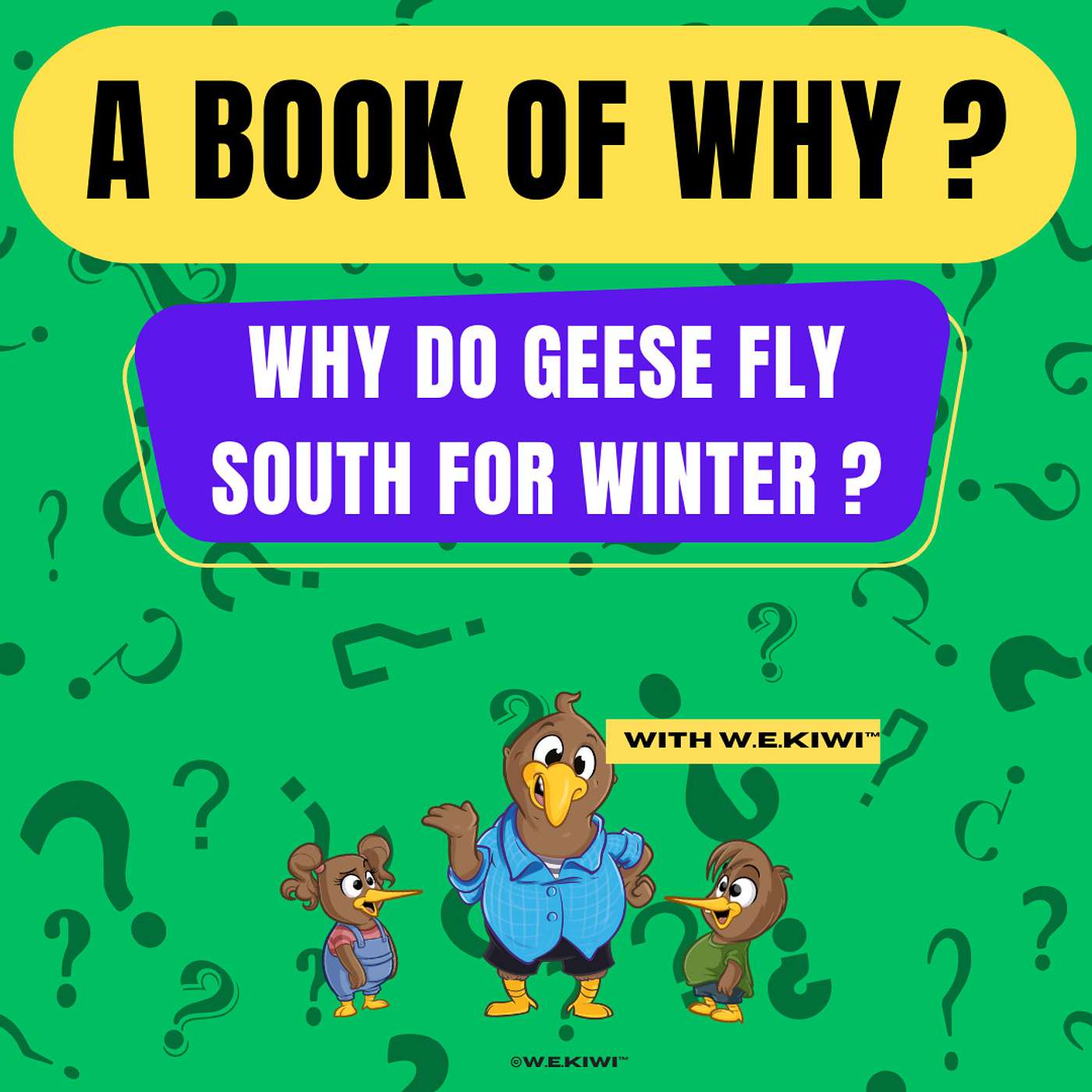 Welcome to W.E.KIWI®️ Original fun stories for children of all ages! - 📚Book of WHY? ┃Why Do Geese Fly South For Winter? ┃AUDIOBOOK