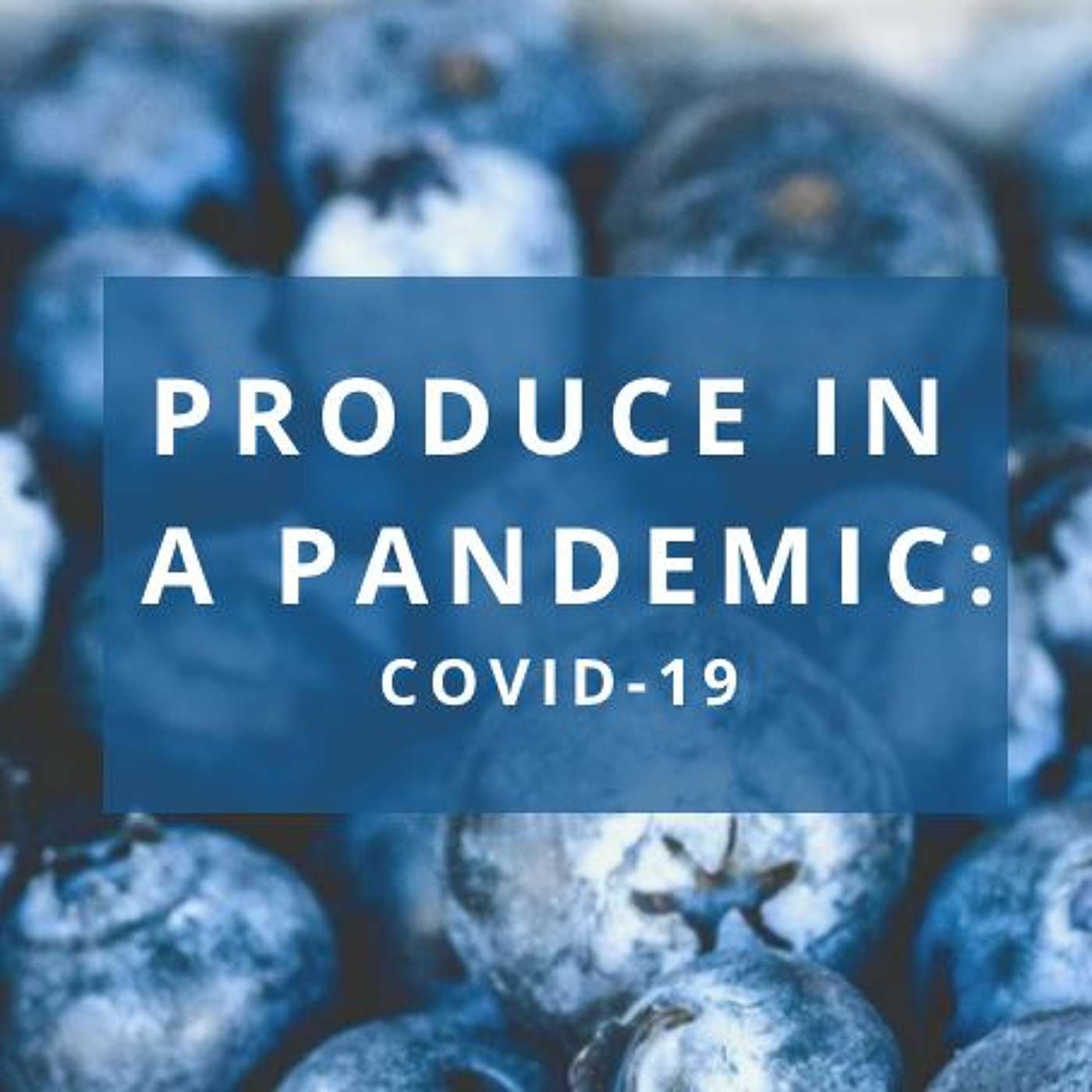Produce in a Pandemic episode artwork