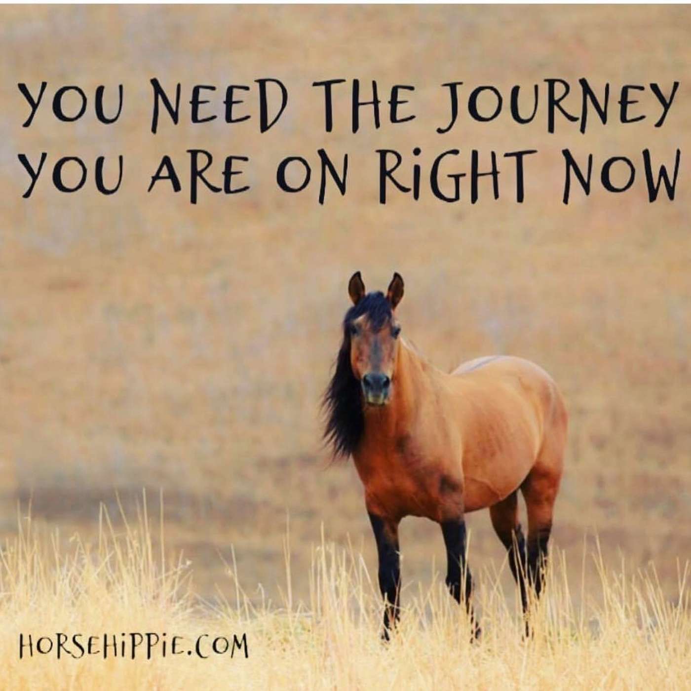 The Journey You Are On episode artwork