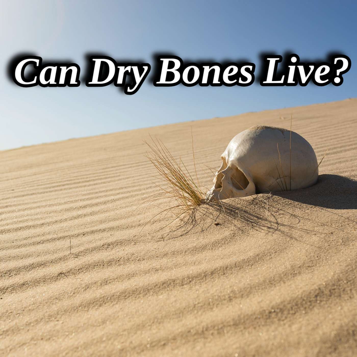 Can Dry Bones Live?