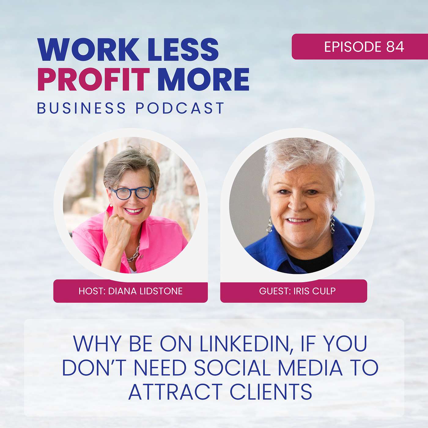Work Less PROFIT More Business Podcast
