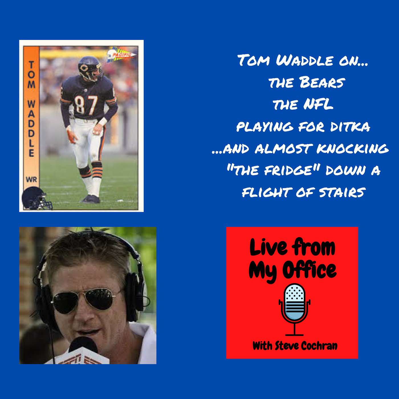 Tom Waddle, Mike Ditka, and Almost Knocking “The Fridge” Down the Stairs episode artwork