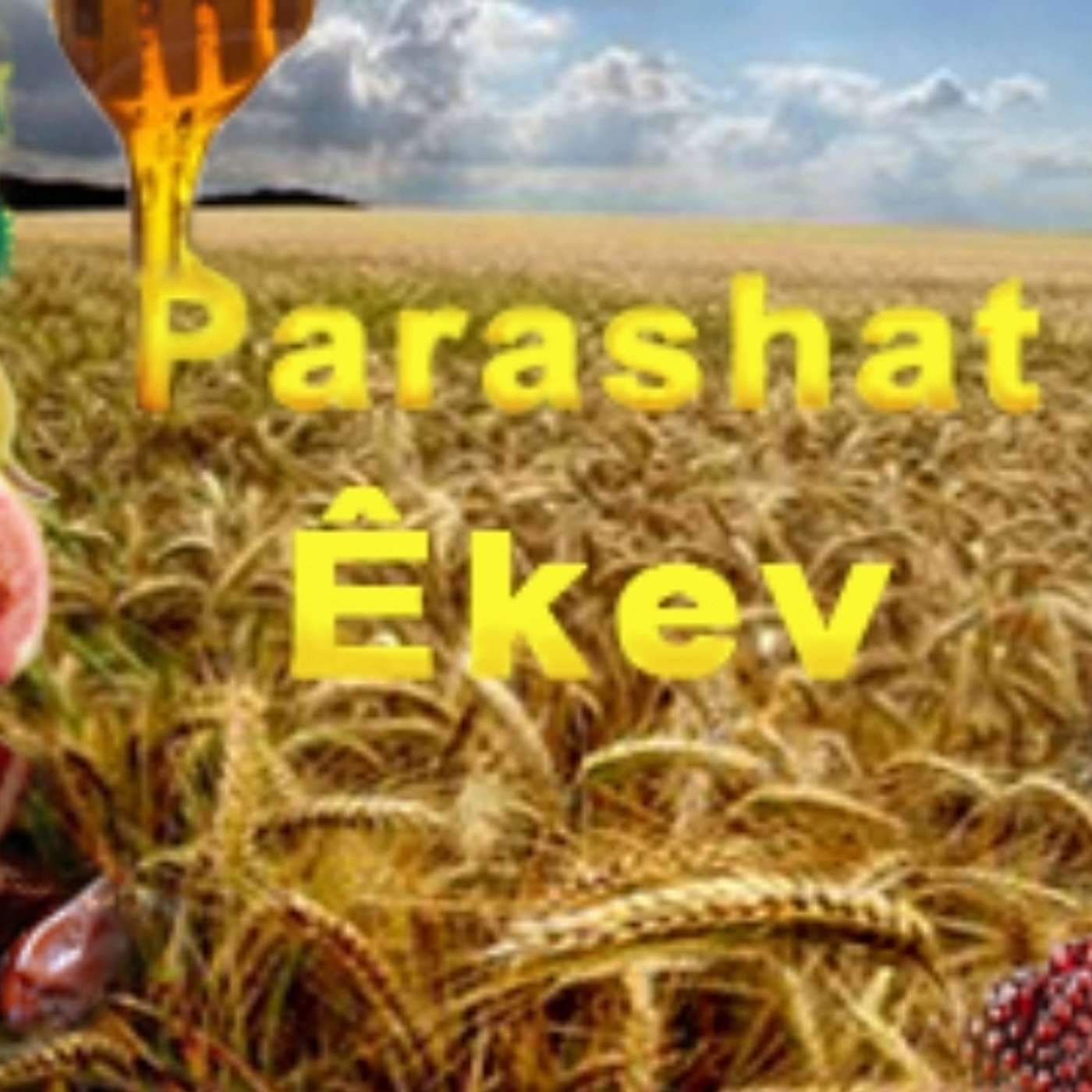 Parasha Eikev: Deut 7:12-11:25