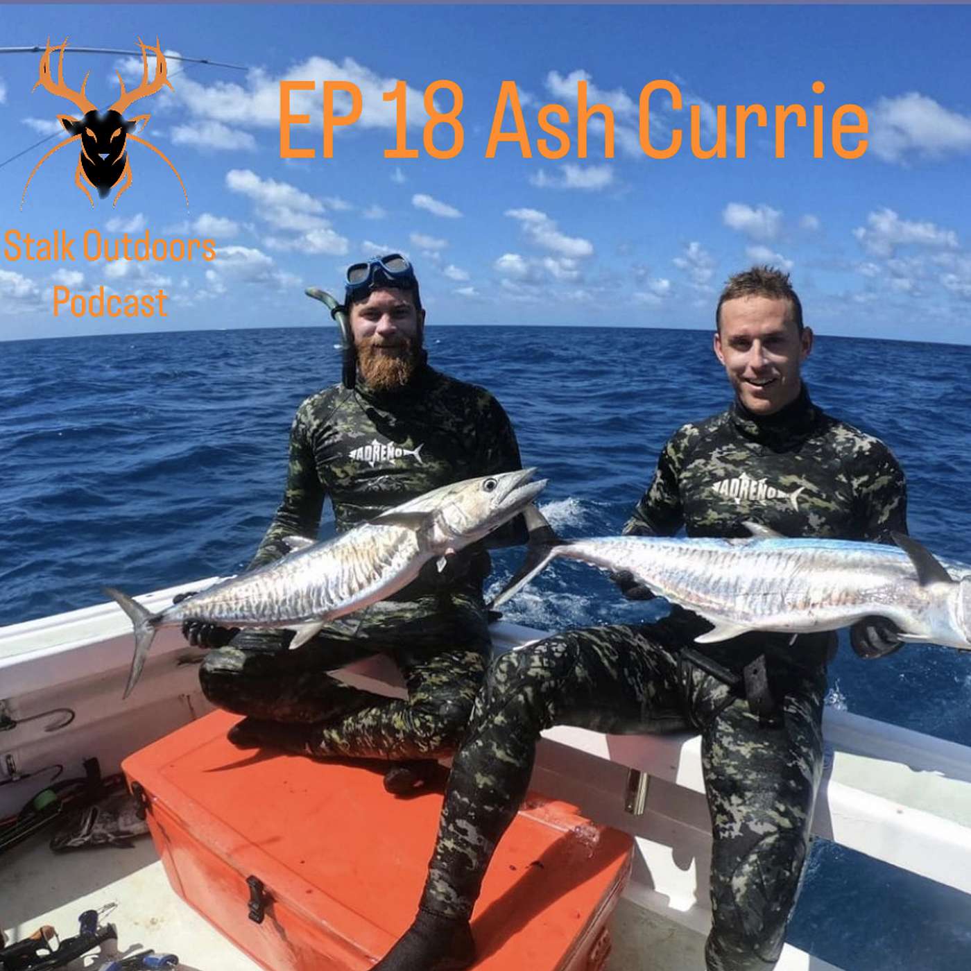 018: Crocs, Crays and Doggies | Live with Ash Currie