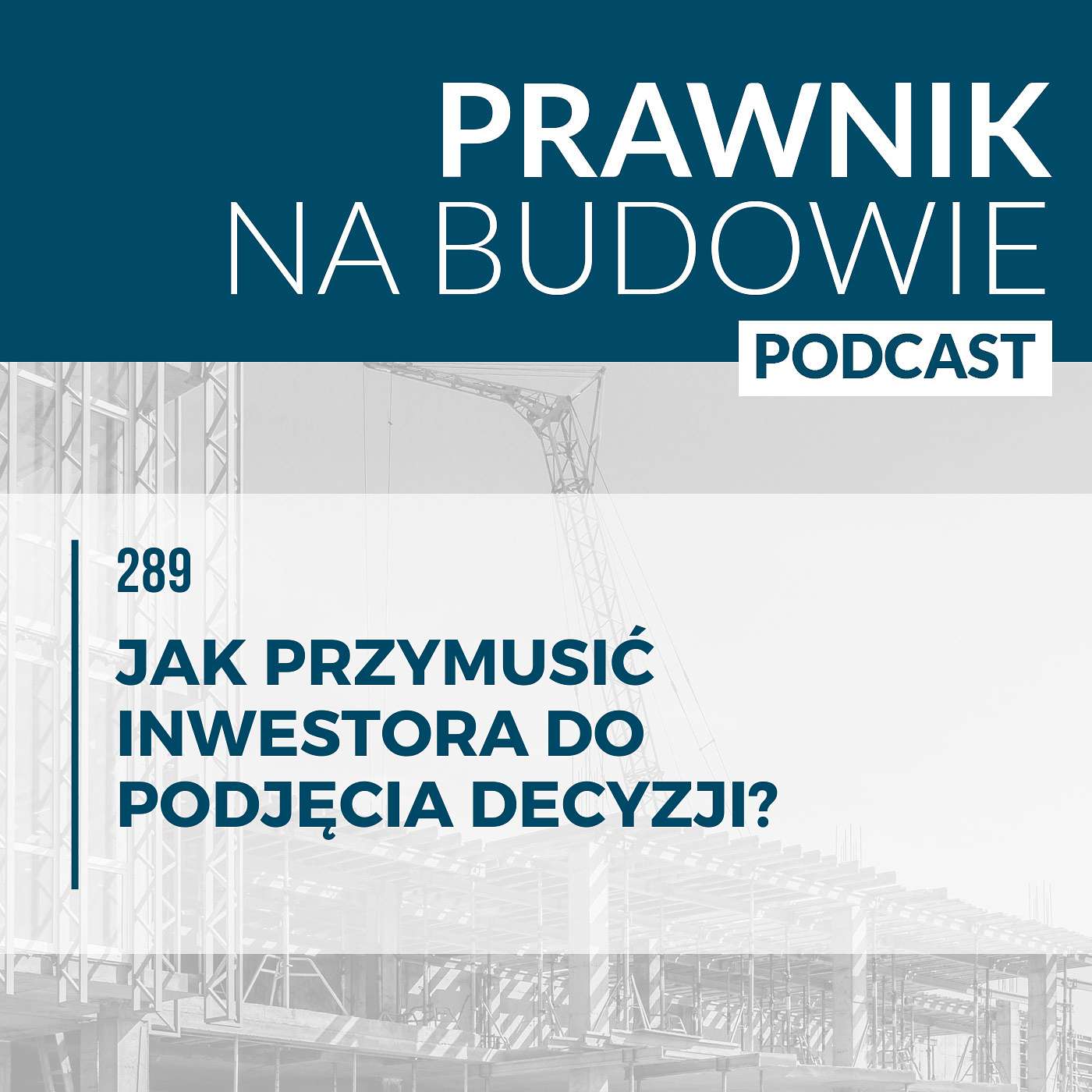 Jak przymusić inwestora do podjęcia decyzji? #289 episode artwork