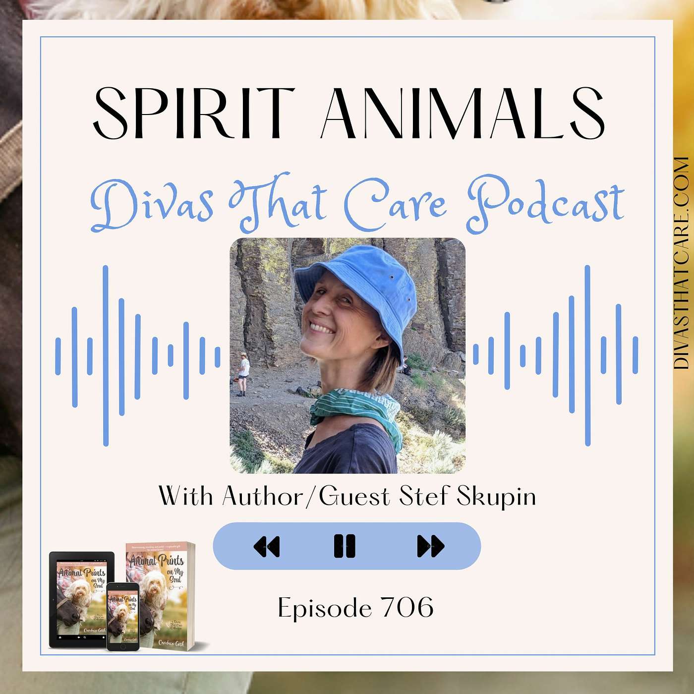 Special Episode: Spirit Animals episode artwork