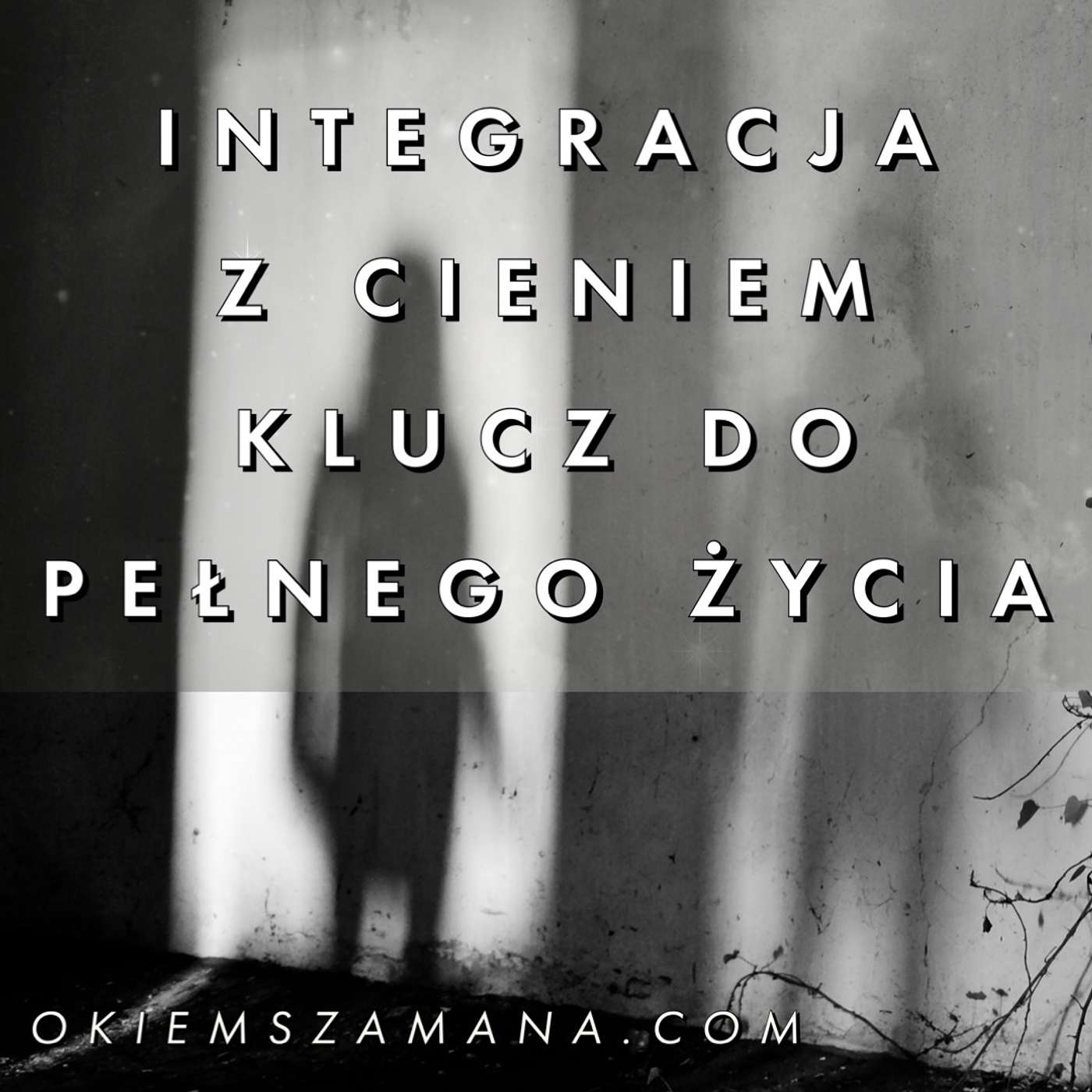 INTEGRACJA Z CIENIEM - KLUCZ DO SZCZĘŚLIWEGO ŻYCIA