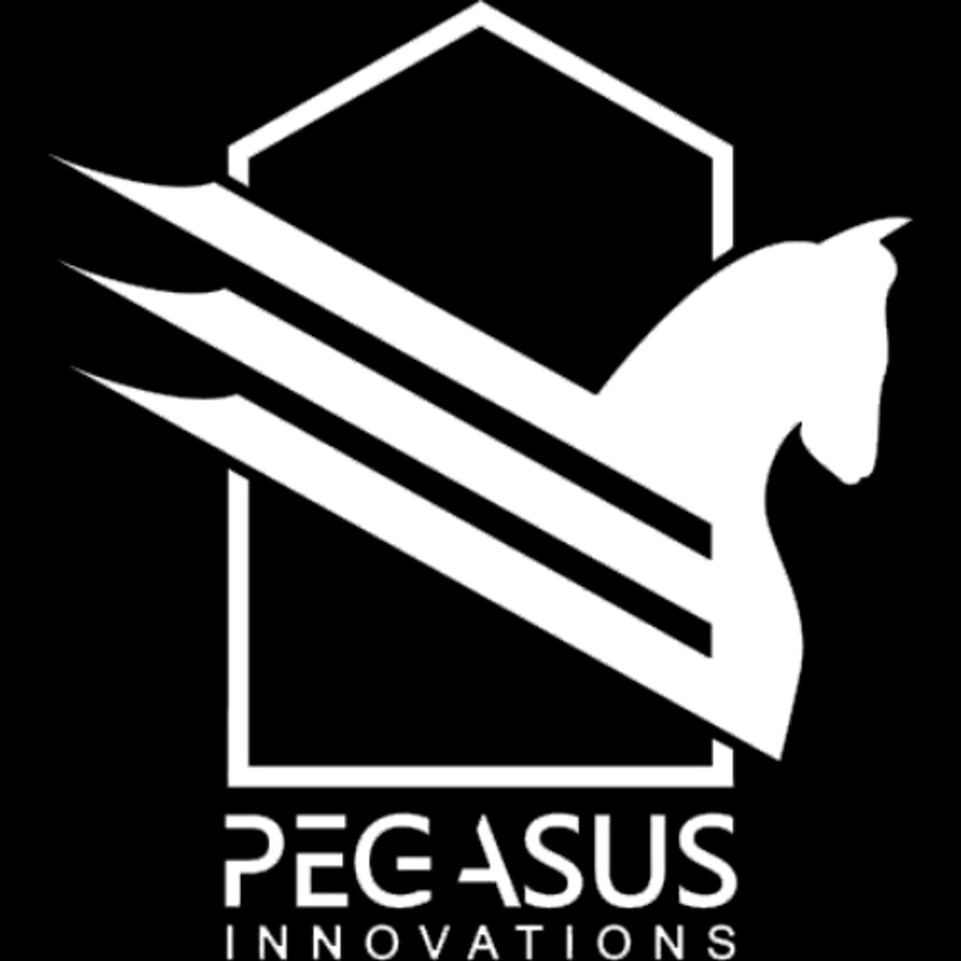 pegasuskitchens's Podcast podcast artwork