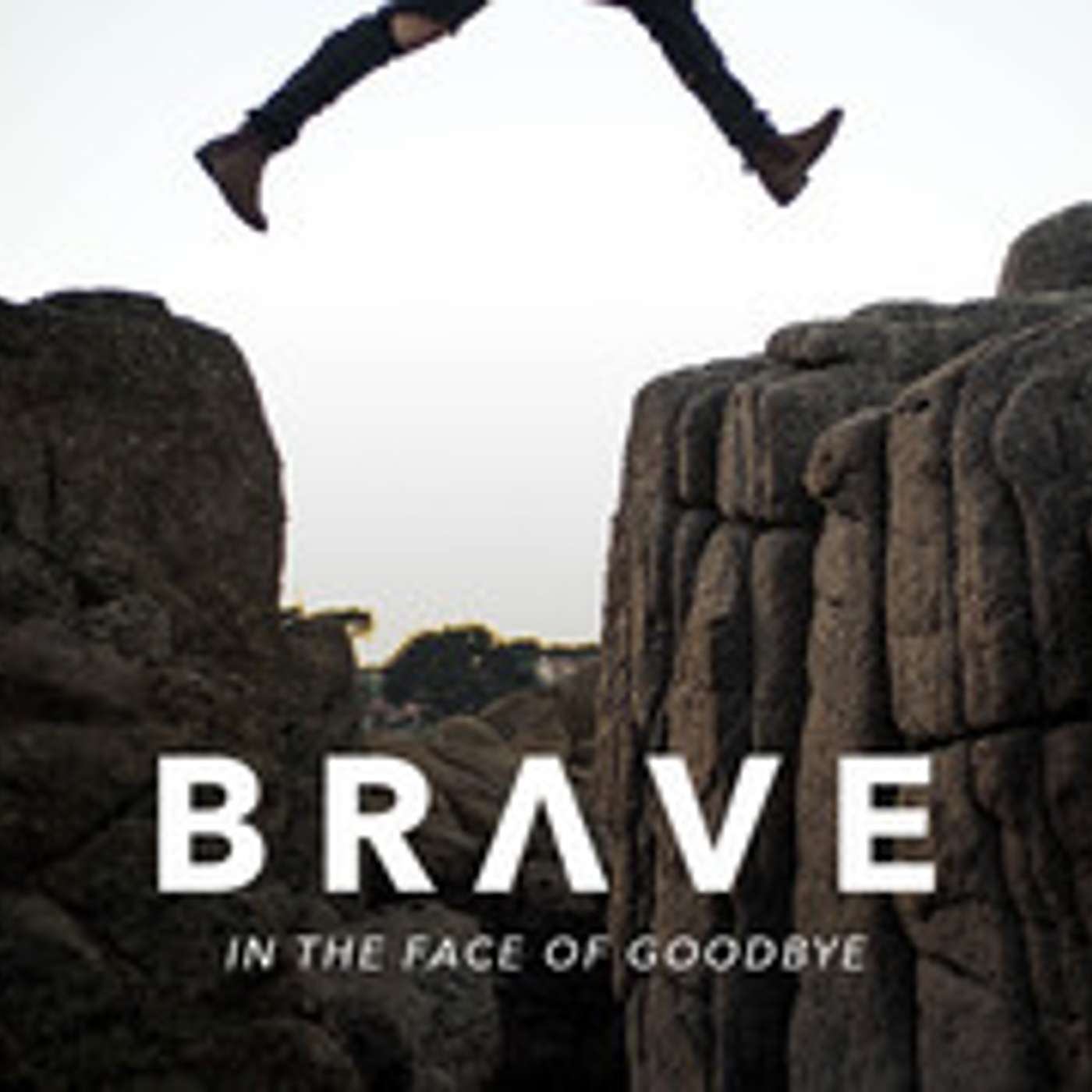 BRAVE - In the Face of Goodbye! episode artwork