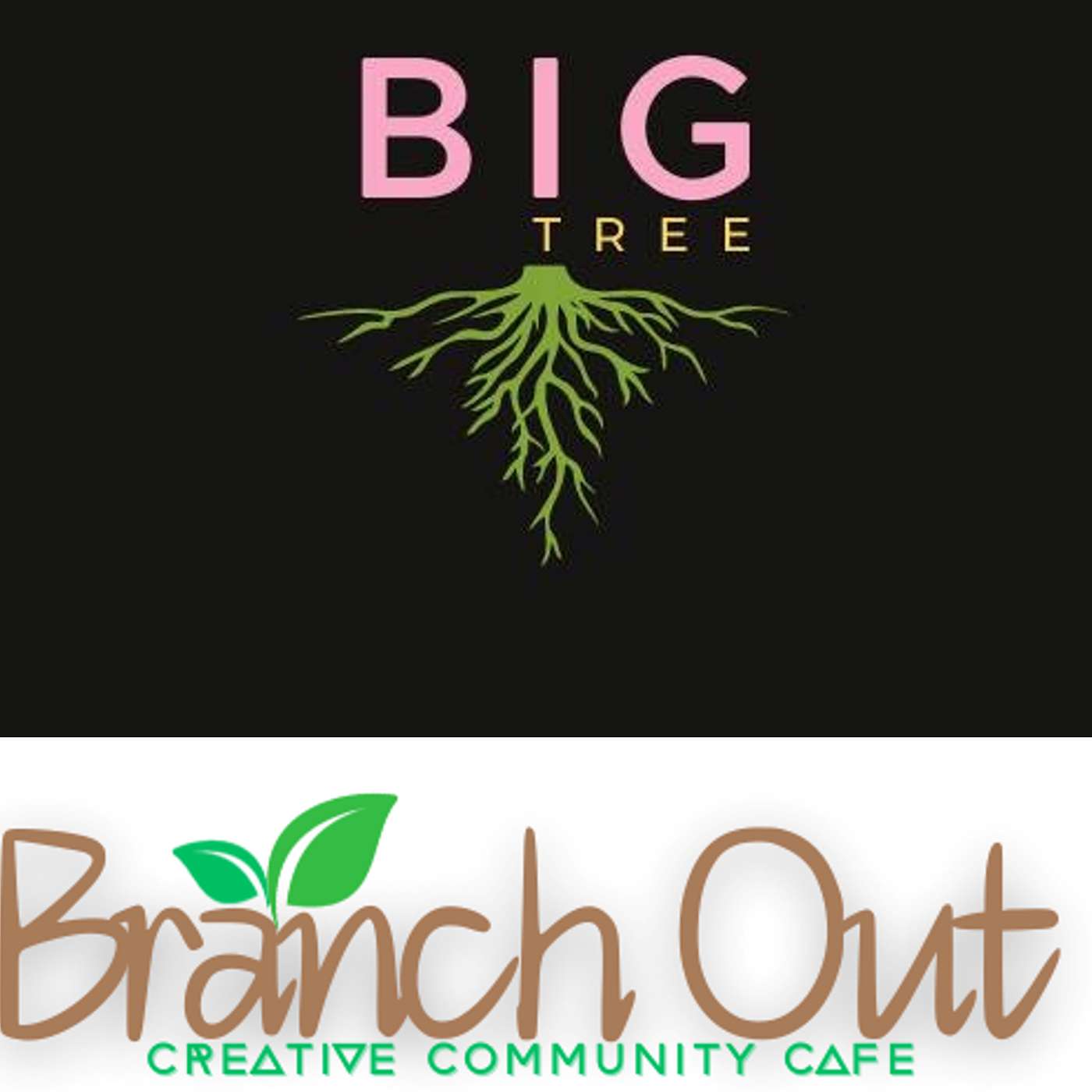 Episode 53: Natalie George of Big Tree Todmorden